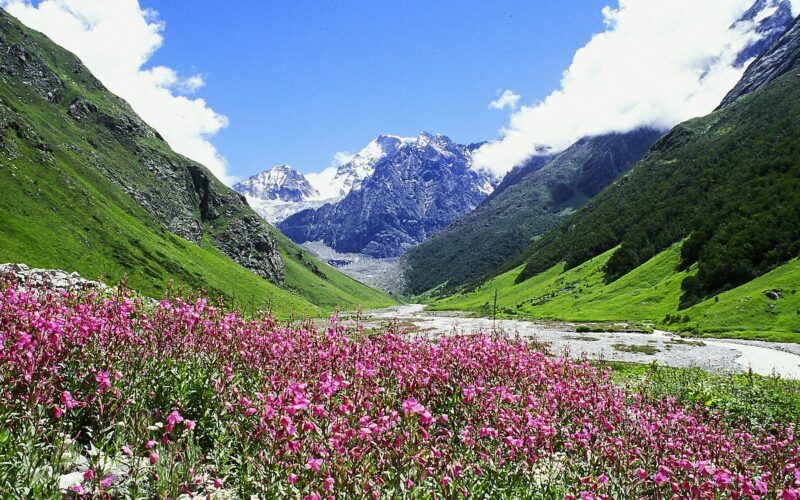valley of flowers chamoli uttarakhand
