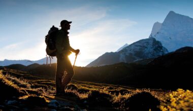 what is trekking